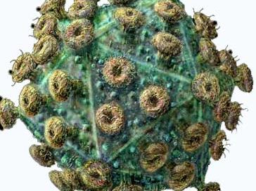AIDS virus greatly magnified - a green ball with brownish-yellow sticks poking out of it all over