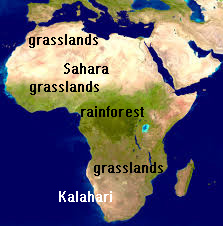 Africa is desert across the top and bottom, with a strip of grasslands and then rain forest across the center - African environment