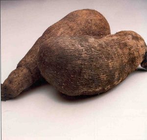 Yams before they're cooked: like a sweet potato but with a thicker, browner skin