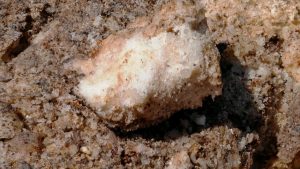 dirty whitish and clear lumps in a brownish background
