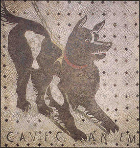 Roman mosaic of a dog on a leash with the words CAVE CANEM