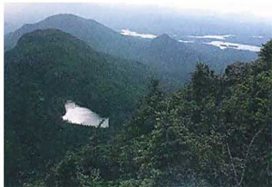 The Appalachians: low mountains covered with pine trees and a lake
