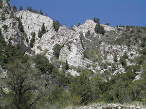 a mountain of gray limestone rock with green pine trees