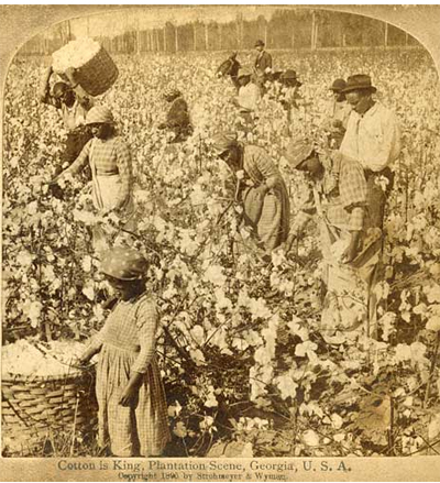 Sharecroppers and cotton - American History - Quatr.us Study Guides