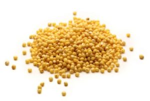 Millet seeds - yellow and round