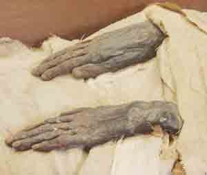 Mummified hands