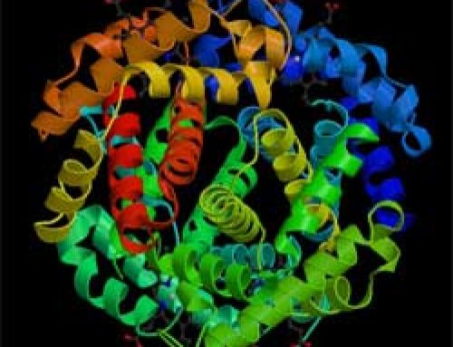 What is a protein? Organic chemistry