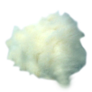 White sheep's wool