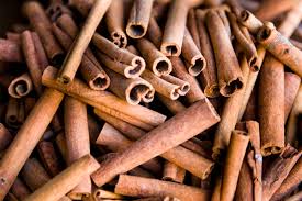 Cinnamon sticks - brown hollow logs