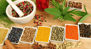 Indian herbal medicines