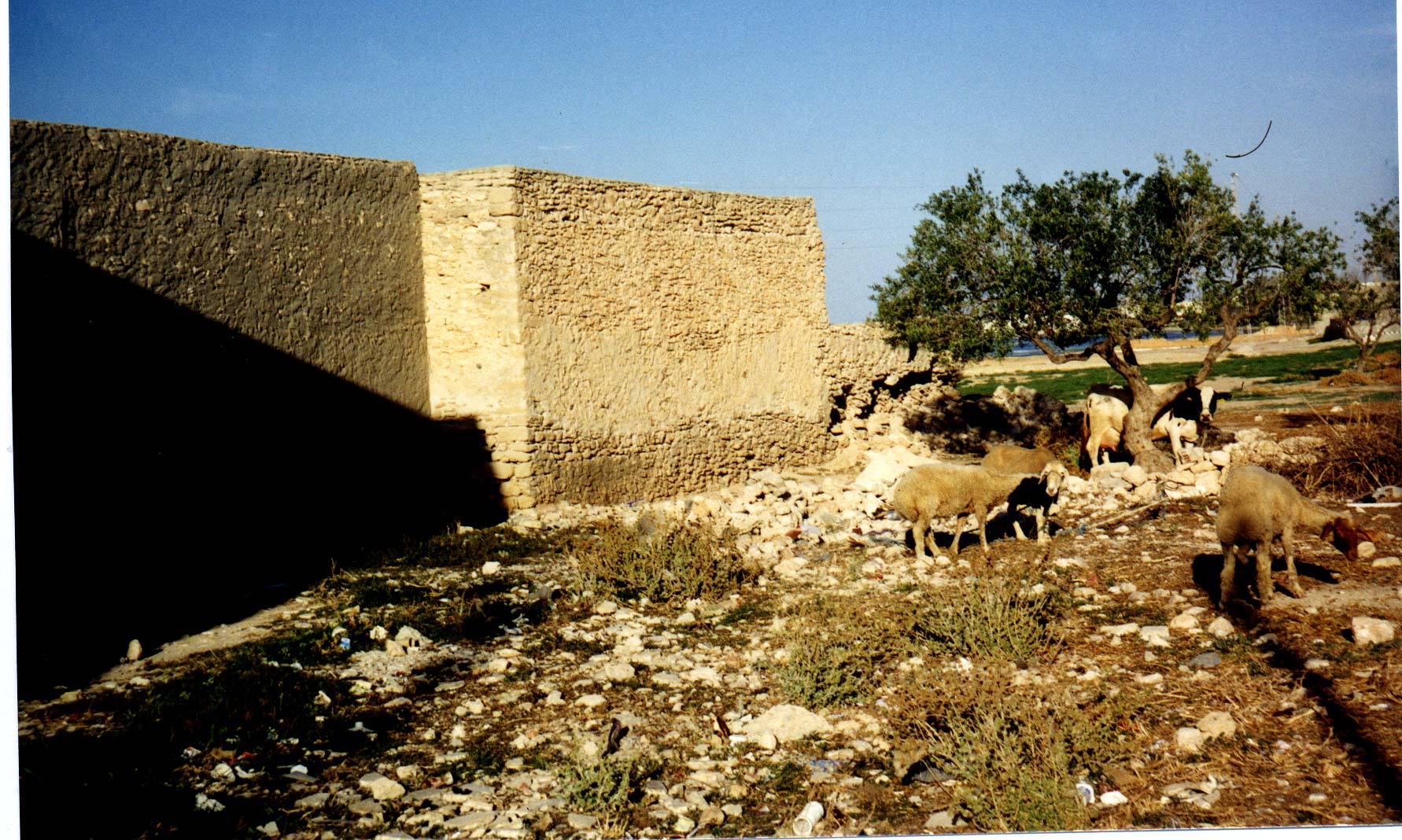 A Ribat, or fort, in North Africa