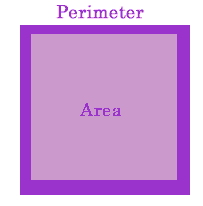 This is a square. The darker purple line is the perimeter of the square.