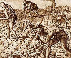 Women and men farming in south-eastern North America (1500s AD)