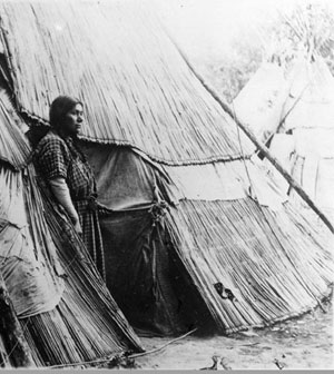 Nez Perce tipi covered with grass mats (from 1910)