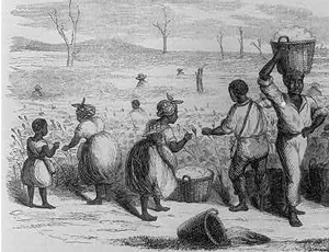 Picking cotton, and wearing cotton clothes (Georgia 1858)