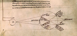 Roger Bacon's diagram of a human eye