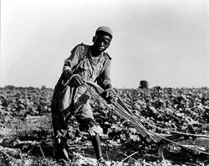 A 13-year-old boy sharecropping (1937)