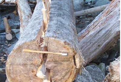 Wooden wedges to split a log