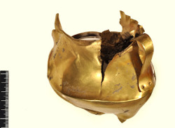 A gold cup from northern Italy (ca. 1800 BC) is like Bronze Age gold cups from Germany and England and may show that there was trading going on all across Bronze Age Europe.