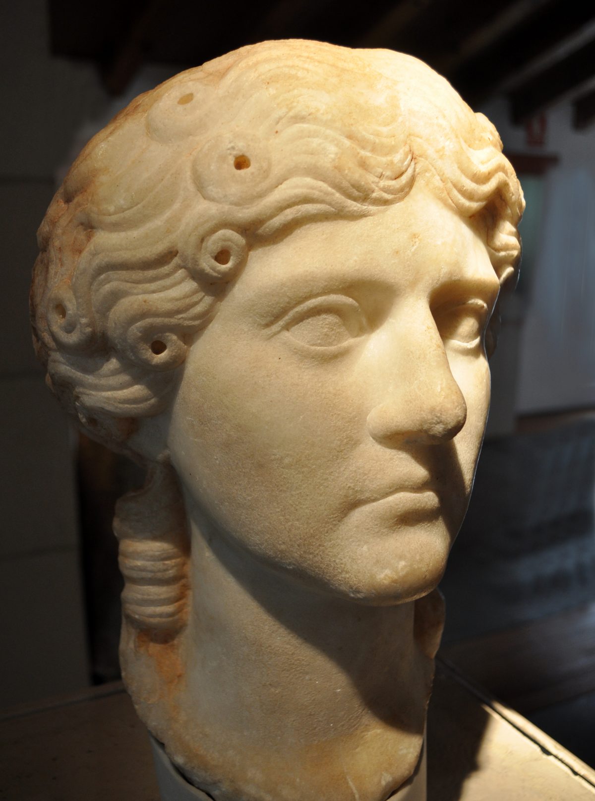 Vipsania Agrippina, Tiberius' wife.