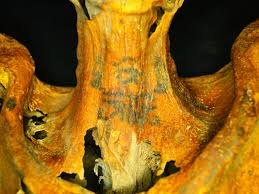 A long skinny yellow neck with blue figures on it.